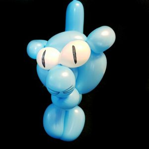 blue cat balloon animal