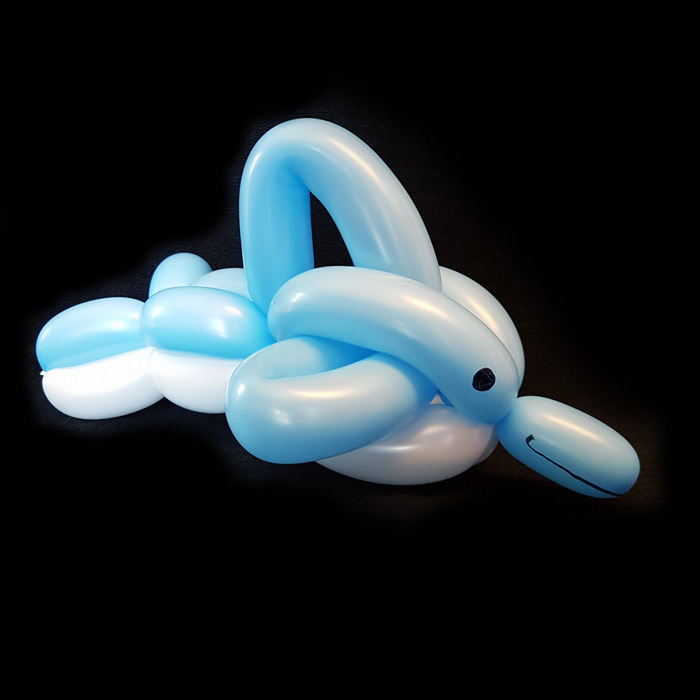 dolphin balloon animal blue